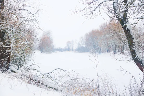 Winter river .Nature composition. — Stock Photo, Image