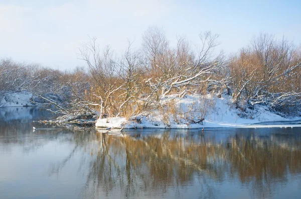 Fiume inverno.Composizione della natura . — Foto Stock