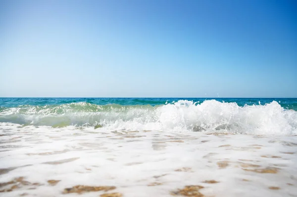 夏季海景。自然成分. — 图库照片