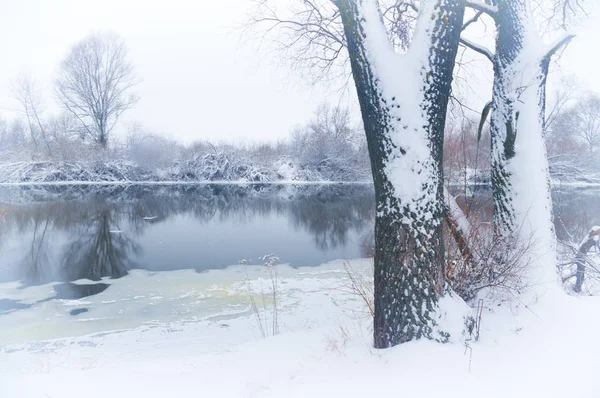 Rio de inverno.Composição da natureza . — Fotografia de Stock