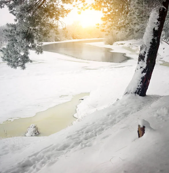 Fiume invernale. Composizione della natura . — Foto Stock