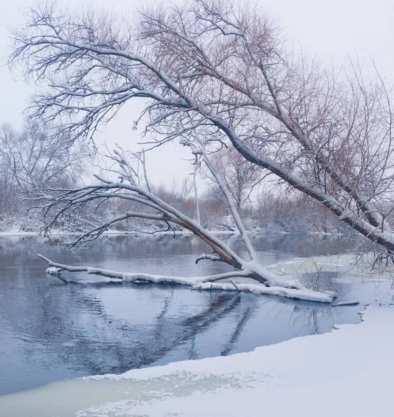 Invierno río paisaje —  Fotos de Stock