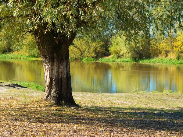 Paisaje otoño río —  Fotos de Stock