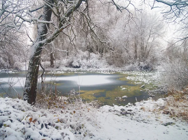 Lago en el invierno — Foto de Stock