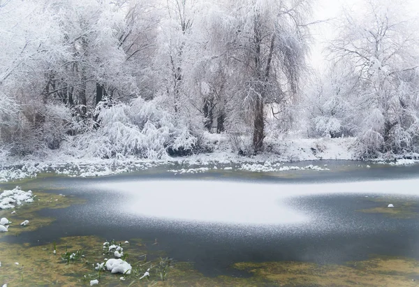 Forest lake på vintern — Stockfoto