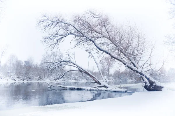 Río de invierno —  Fotos de Stock