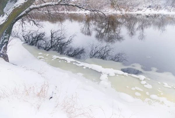 Fiume Invernale Alberi Sulla Riva Del Fiume Invernale — Foto Stock