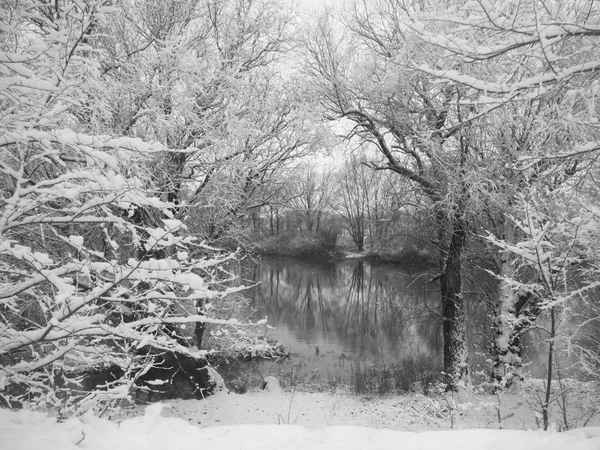 Paysage Hivernal Rivière Enneigée — Photo