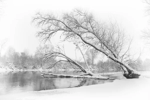 Rive Hiver Enneigée Rivière Dans Matinée Brumeuse — Photo