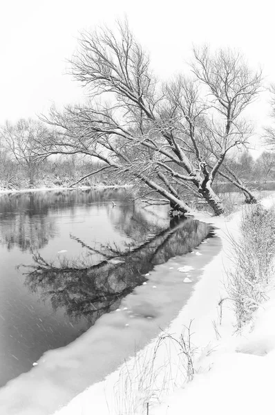 下雪的冬天岸边的河流在薄雾的早晨 — 图库照片
