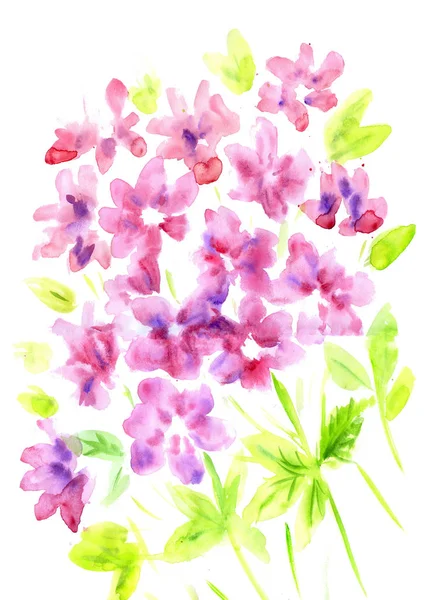 Watercolor vintage summer blooming bouquet — Stock Image Watercolor vintage summer blooming bouquet Royalty Free Stock Photos