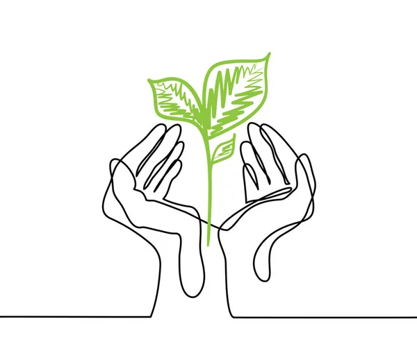 Manos sostiene una planta verde viva plántulas . — Vector de stock