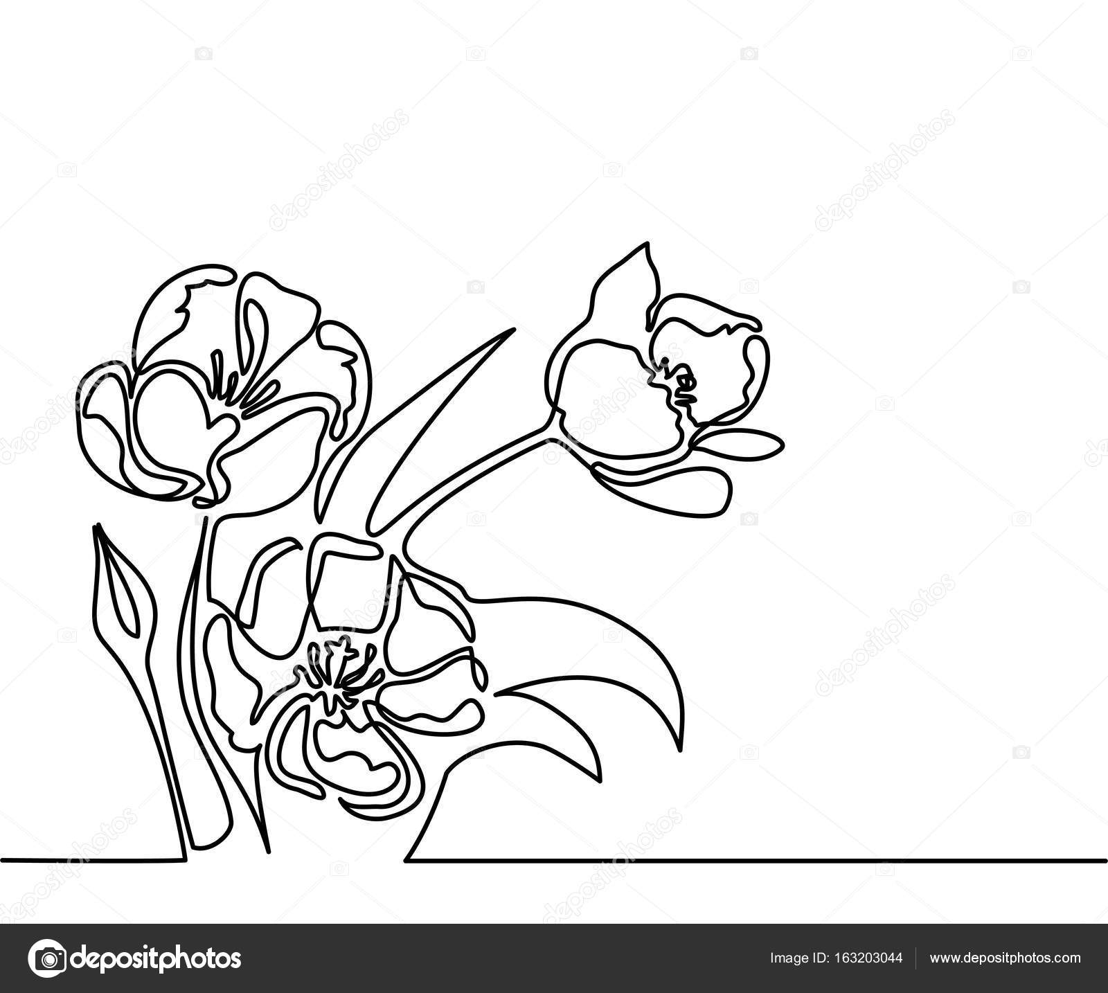 Dessin De Belle Fleur Image Vectorielle Valenty 163203044
