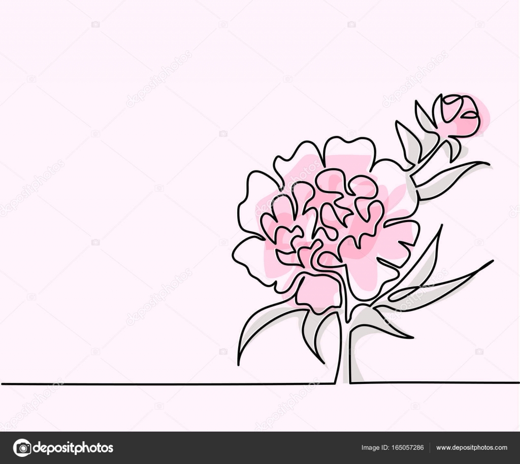 Rysunek Piękny Kwiat Grafika Wektorowa Valenty 165057286