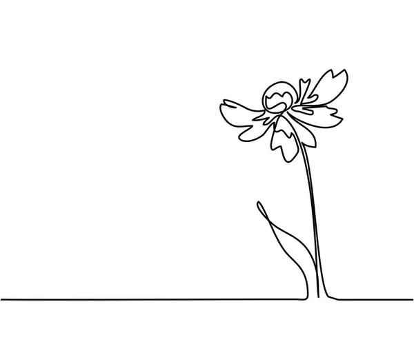 Zeichnung der schönen Blume — Stockvektor