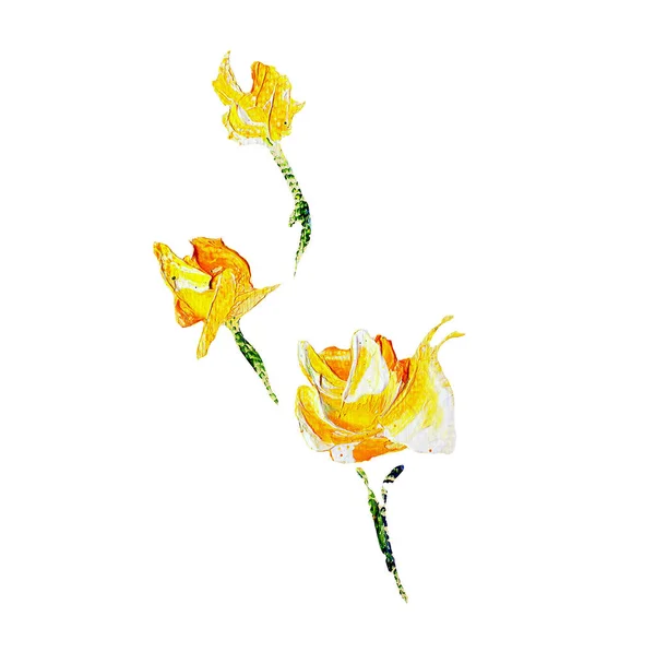 Dipinti a mano stile moderno fiore giallo — Foto Stock