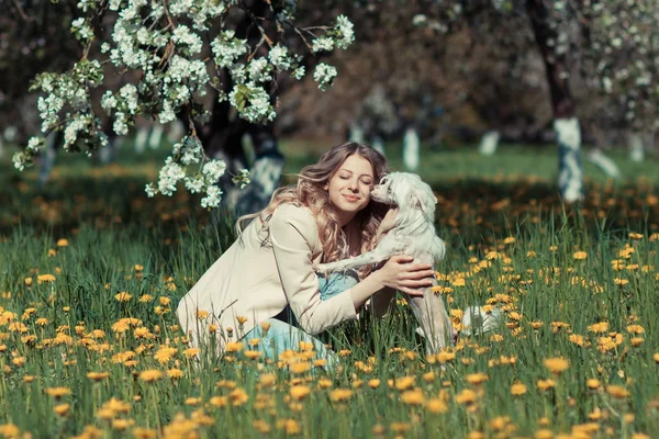 Žena s malým psem — Stock fotografie