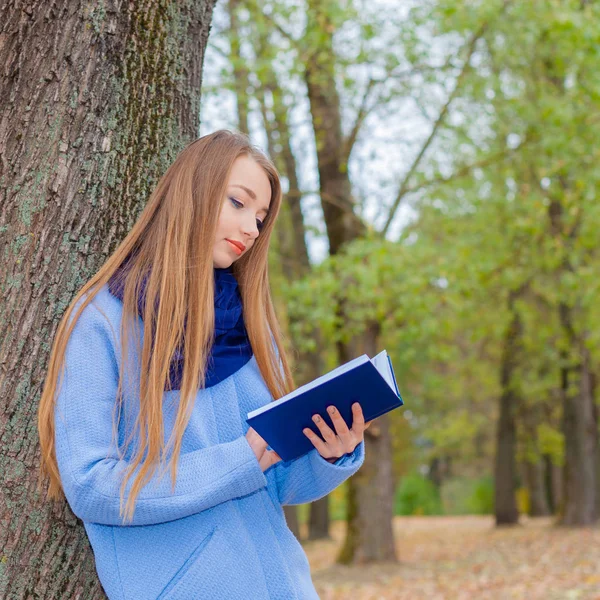 Romantische dromerige meisje het lezen van een boek buitenshuis — Stockfoto