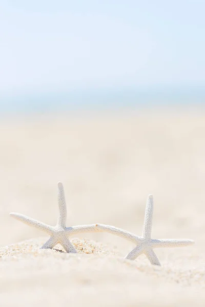 Estrela do mar na praia — Fotografia de Stock