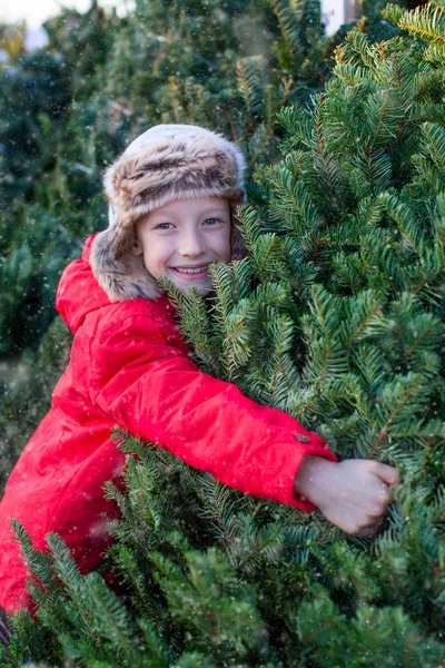 Kid shopping för julgran — Stockfoto