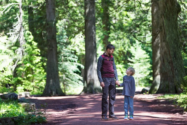 Senderismo familiar en el bosque — Foto de Stock