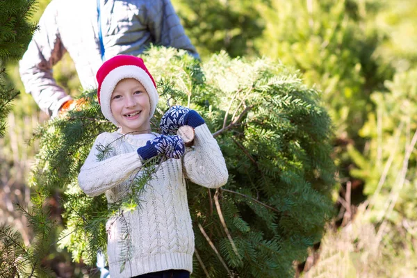 Julgran shopping — Stockfoto