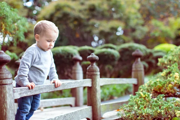 Beau tout-petit garçon — Photo