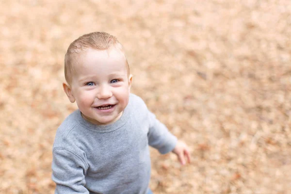 Knappe peuter jongen — Stockfoto