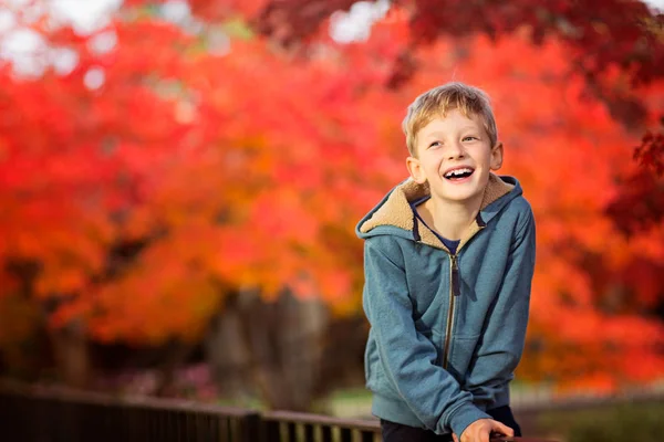 Sonbahar, mutlu çocuk — Stok fotoğraf