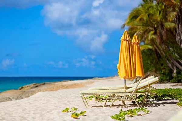 Lettini in spiaggia — Foto Stock