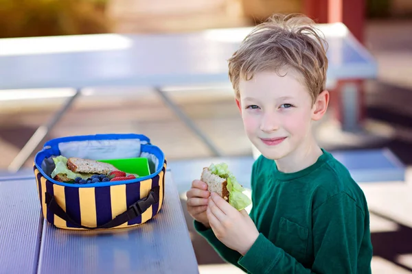 Niño comiendo almuerzo escolar —  Fotos de Stock