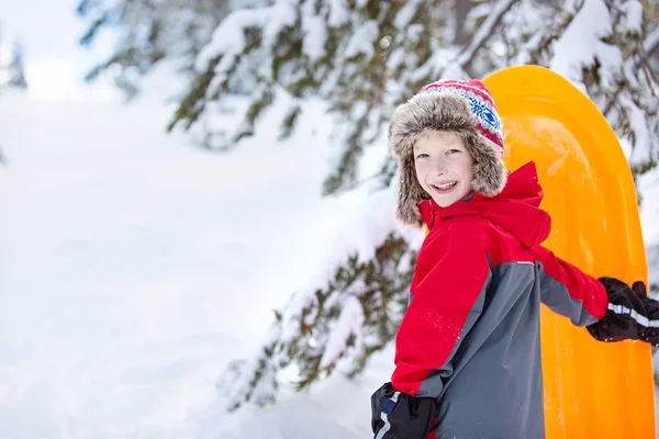 Vacaciones de invierno familiares —  Fotos de Stock