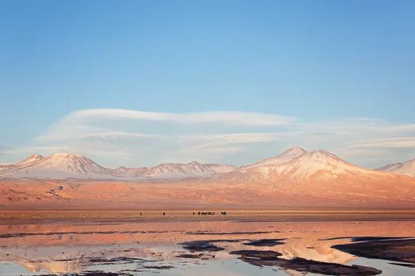 Атакама пустынные соляные лагуны — стоковое фото