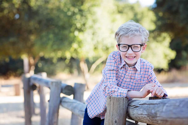 ハンサムな少年は眼鏡学校コンセプトに戻る学校の準備ができての笑みを浮かべて — ストック写真