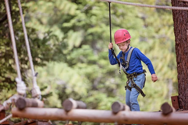 Concentrated Little Boy Climbing Treetop Adventure Park Healthy Active Lifestyle — Stock Photo, Image