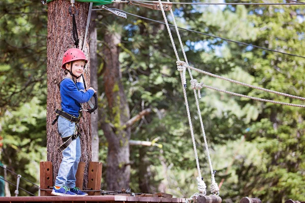 Leende Liten Pojke Klättring Treetop Äventyrspark Hälsosam Aktiv Livsstilskoncept — Stockfoto
