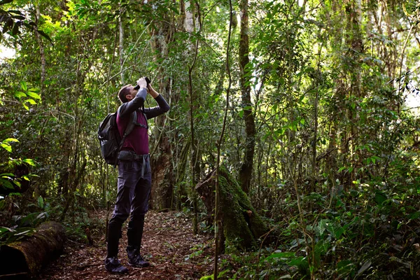 Hombre en la selva tropical —  Fotos de Stock