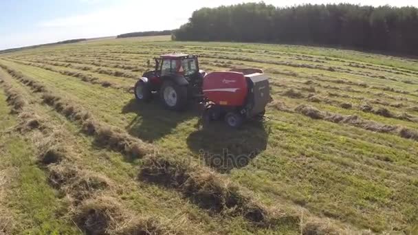 Traktor Med Släp Balpress Producerar Höbalar — Stockvideo