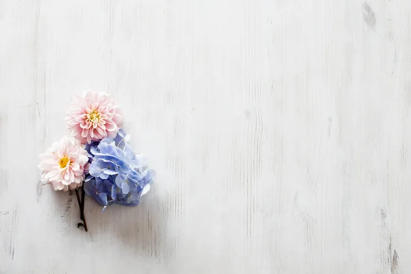 Hortênsia e flores de Dália — Fotografia de Stock