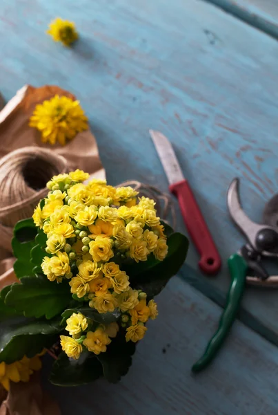 Bloemist work achtergrond — Stockfoto