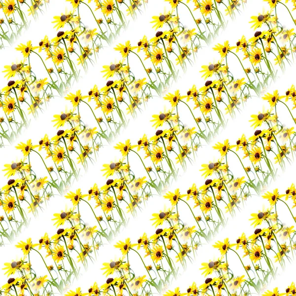 Nahtloses Blumenmuster — Stockfoto