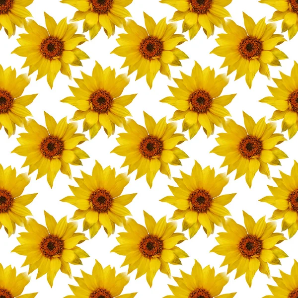 Nahtloses Blumenmuster — Stockfoto