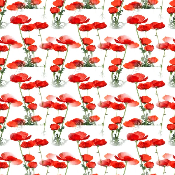 Seamless flowers pattern — Stock Photo, Image