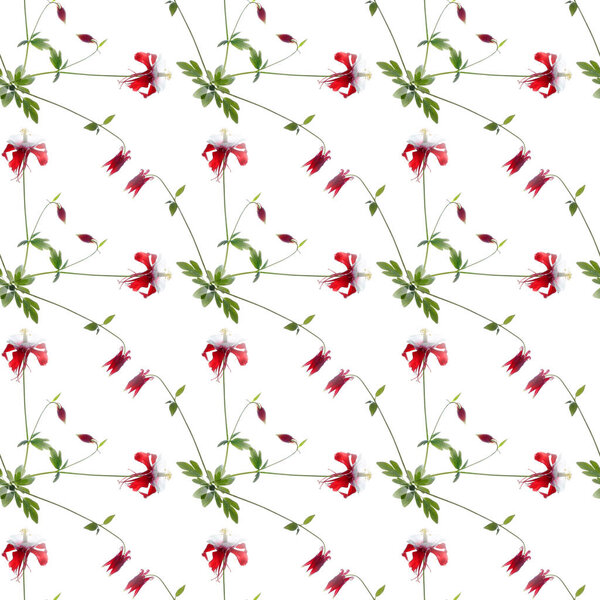seamless flowers pattern