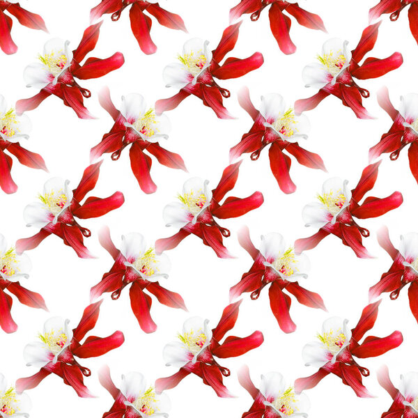 seamless flowers pattern
