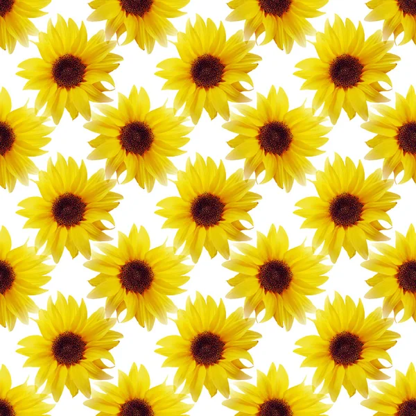 Seamless flowers pattern — Stock Photo, Image