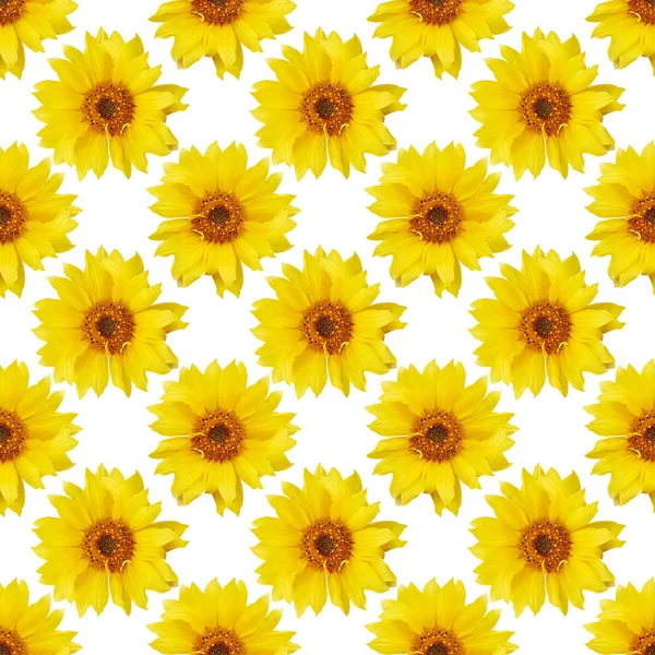 Seamless flowers pattern — Stock Photo, Image