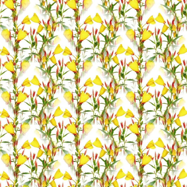 Seamless flowers pattern — Stock Photo, Image