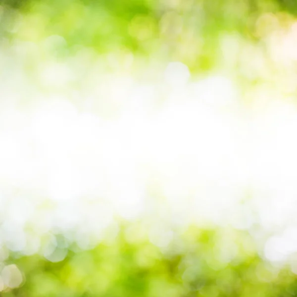 Green bokeh frame — Stock Photo, Image