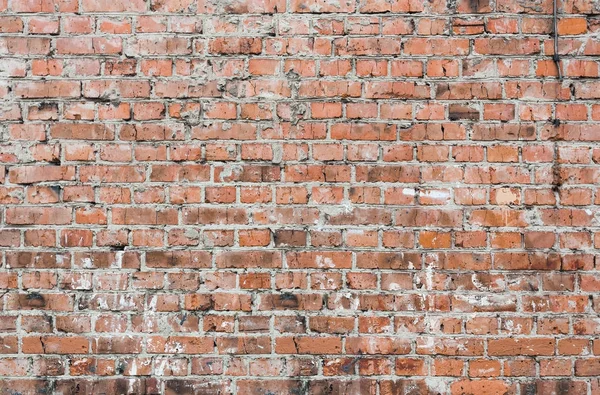 Oude stenen muur — Stockfoto